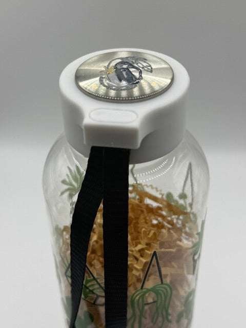 Terrarium 16 oz. Plastic Sports Bottle
